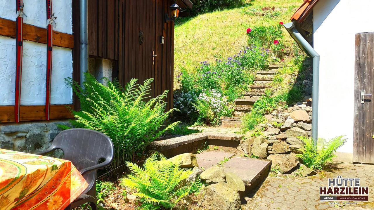Arode Huette Harzilein - Romantic Tiny House On The Edge Of The Forest Zorge 外观 照片